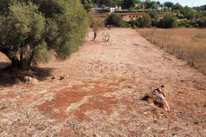 Terreno para Venda em Loule (São Clemente)