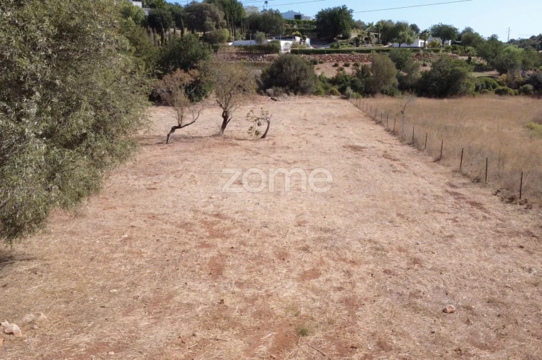 Terreno para Venda em Loule (São Clemente) Foto 8