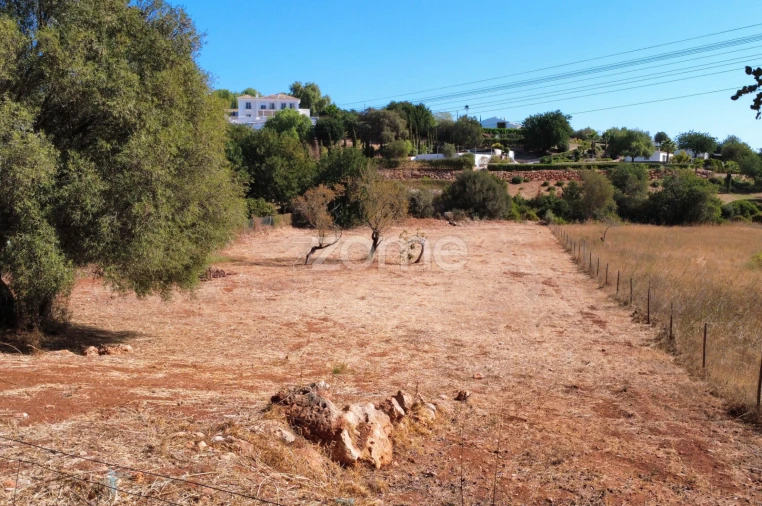 Terreno para Venda em Loule (São Clemente) Foto 12