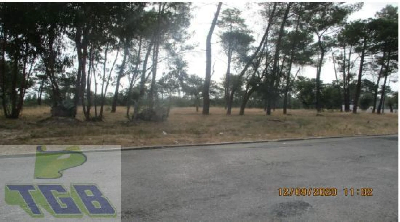 Terreno P/ Prédio para Venda em Azeitão (São Lourenço e São Simão) Foto 5