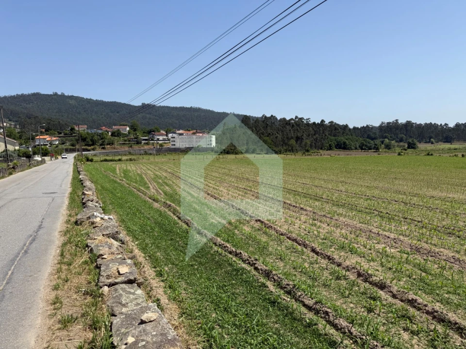 Terreno para Venda em Roriz Foto 1