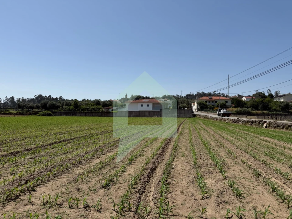 Terreno para Venda em Roriz Foto 4