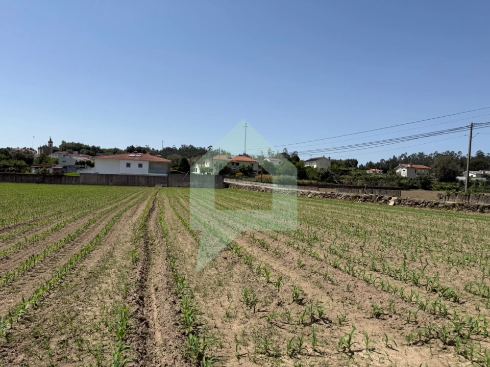 Terreno para Venda em Roriz Foto 5