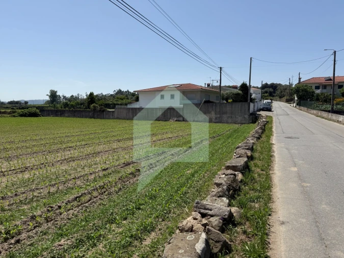 Terreno para Venda em Roriz Foto 2