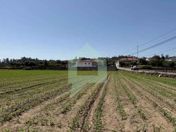 Terreno para Venda em Roriz Foto 4