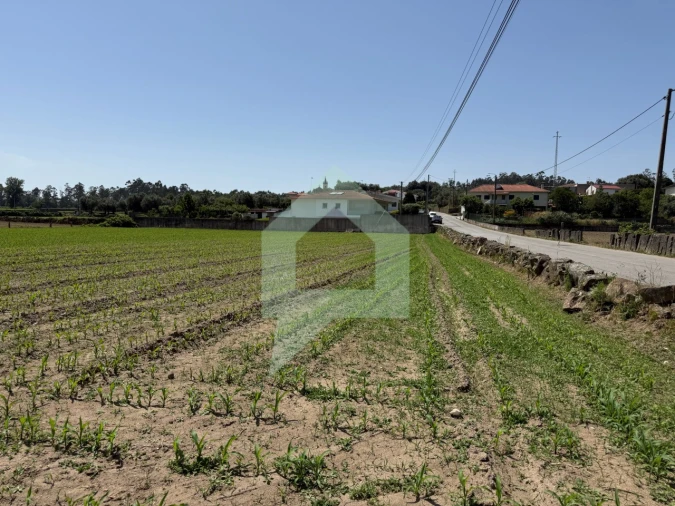 Terreno para Venda em Roriz Foto 6