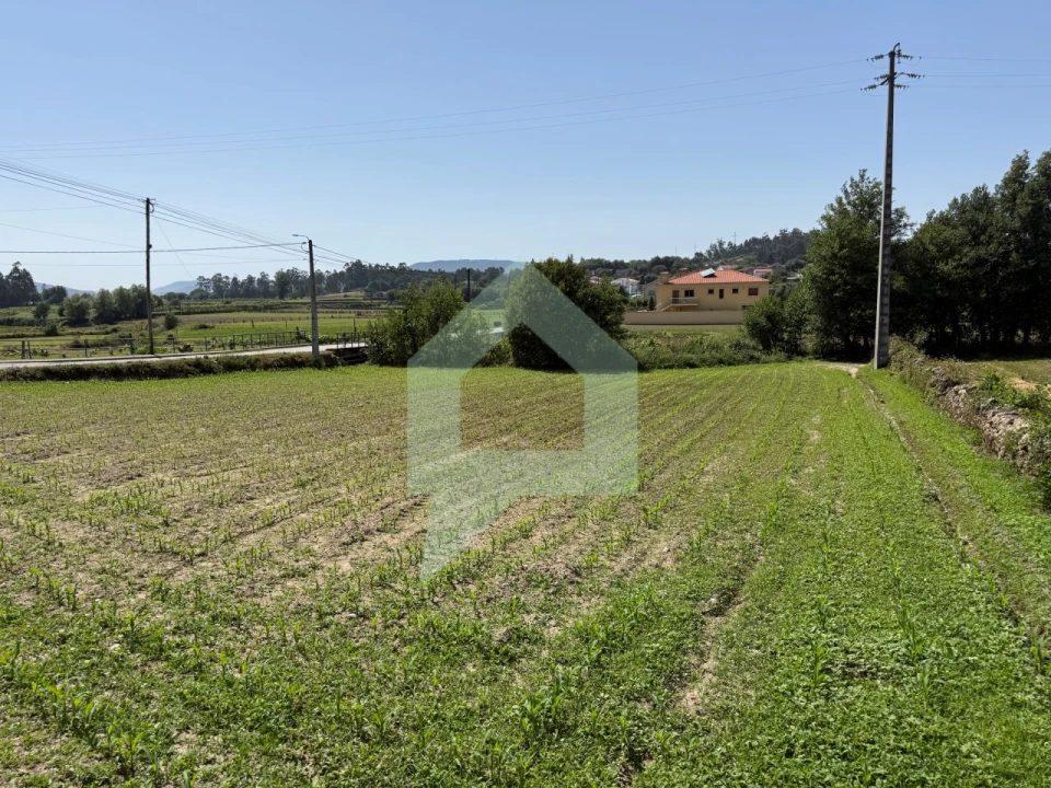 Terreno para Venda em Roriz Foto 1