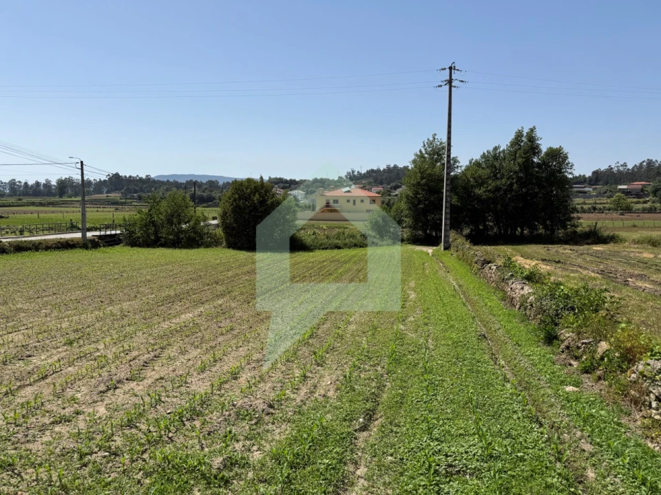 Terreno para Venda em Roriz Foto 6