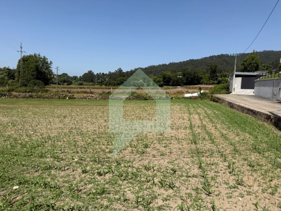 Terreno para Venda em Roriz Foto 16