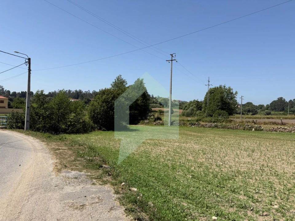 Terreno para Venda em Roriz Foto 17