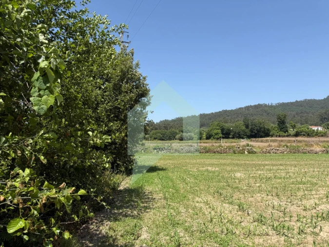 Terreno para Venda em Roriz Foto 9