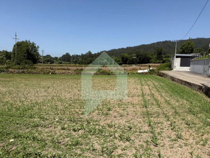 Terreno para Venda em Roriz Foto 16