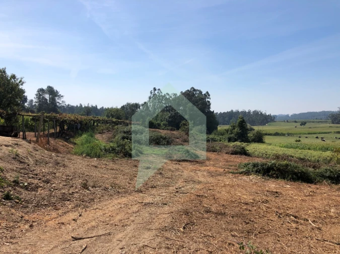 Terreno Agricola ou Rústico para Venda em Chorente, Góios, Courel, Pedra Furada e Gueral Foto 7