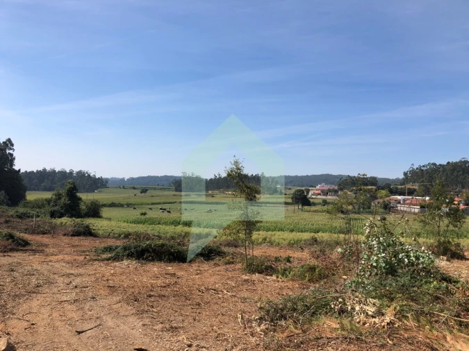 Terreno Agricola ou Rústico para Venda em Chorente, Góios, Courel, Pedra Furada e Gueral Foto 11