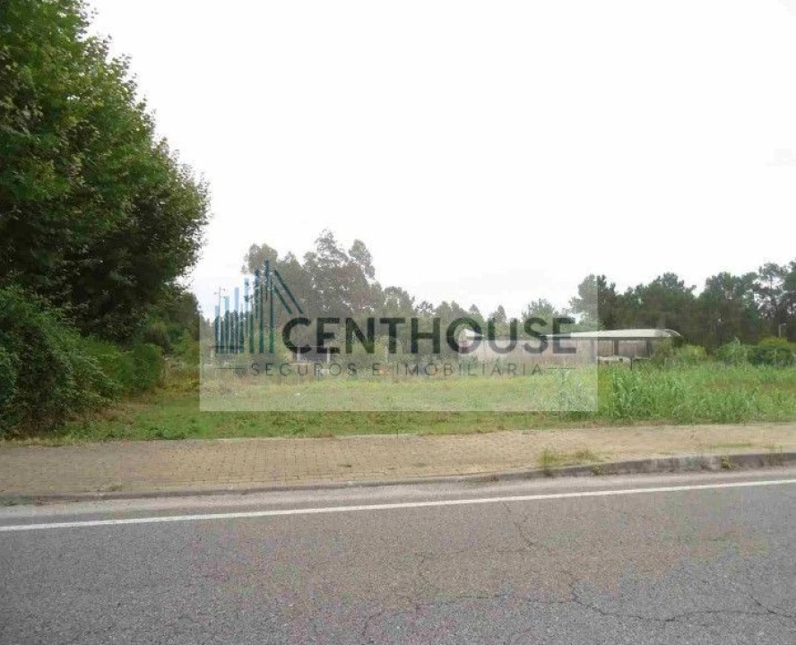 Terreno para Venda em Fonte de Angeão e Covão do Lobo Foto 1