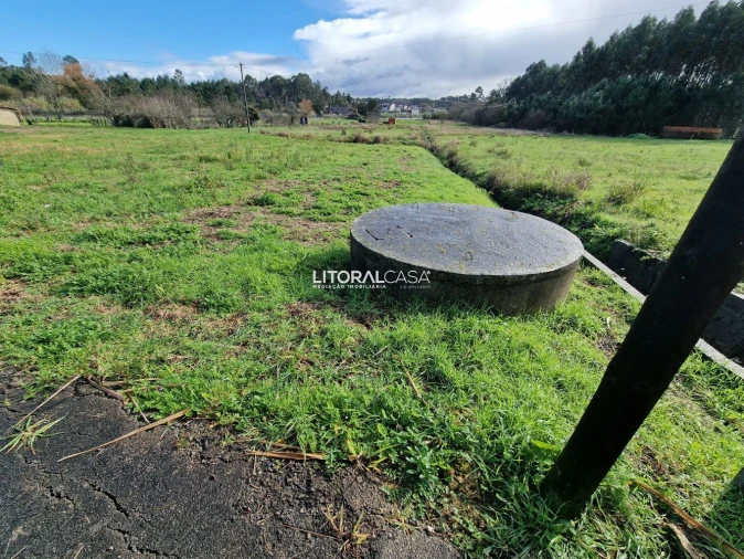 Terreno para Venda em Oliveira do Bairro Foto 3