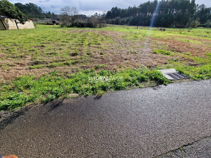 Terreno para Venda em Oliveira do Bairro Foto 8