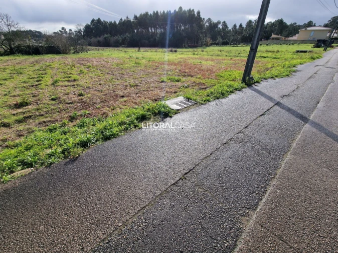 Terreno para Venda em Oliveira do Bairro Foto 7