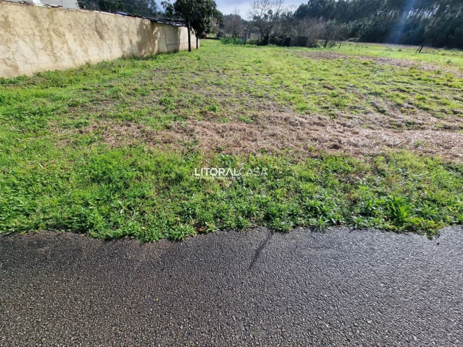Terreno para Venda em Oliveira do Bairro Foto 5