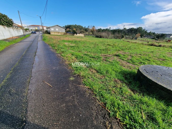 Terreno para Venda em Oliveira do Bairro Foto 2