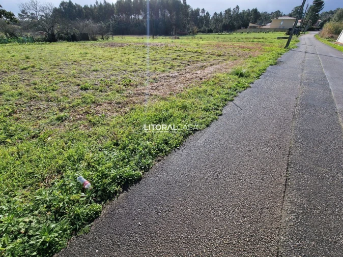 Terreno para Venda em Oliveira do Bairro Foto 11