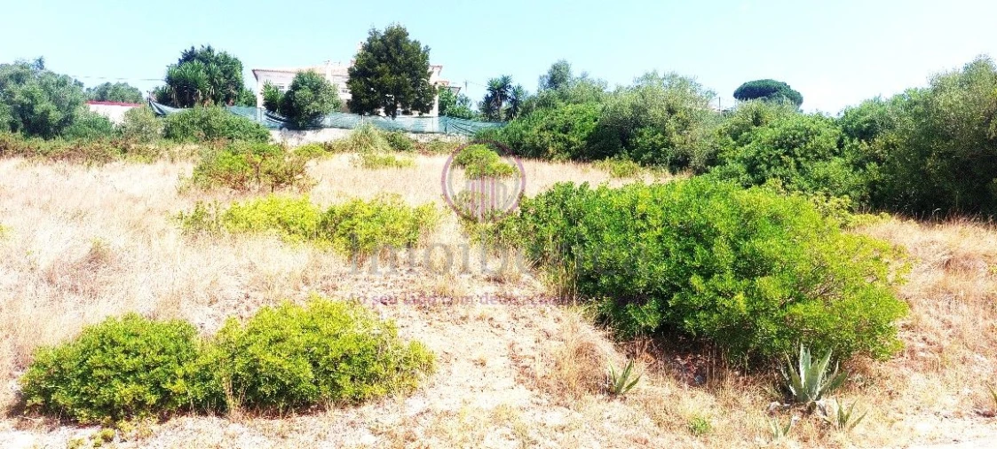 Terreno para Venda em Algueirão-Mem Martins Foto 9