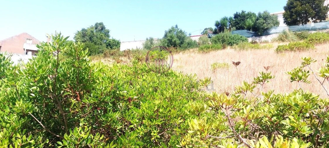 Terreno para Venda em Algueirão-Mem Martins Foto 3