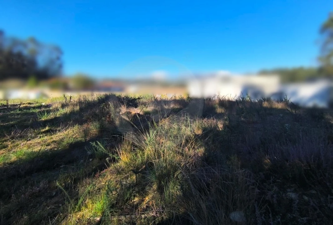 Terreno para Venda em Póvoa de Varzim, Beiriz e Argivai Foto 21