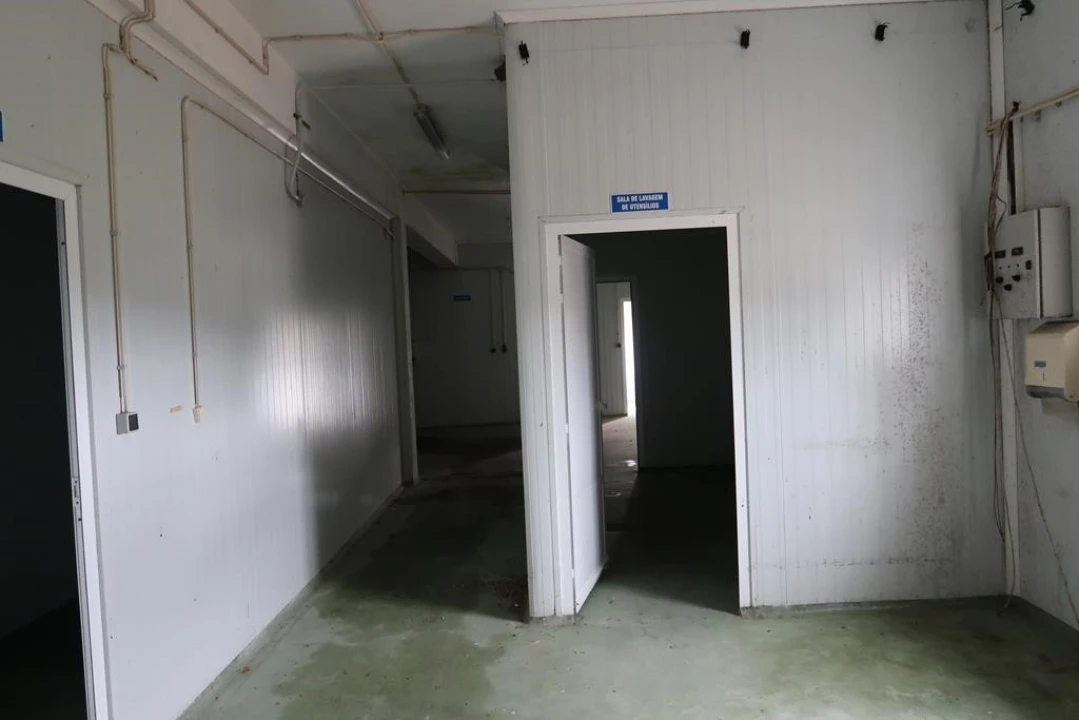 Armazém para Venda em Comenda Foto 7