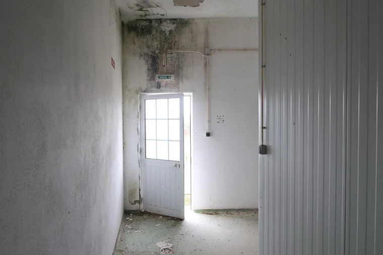 Armazém para Venda em Comenda Foto 3