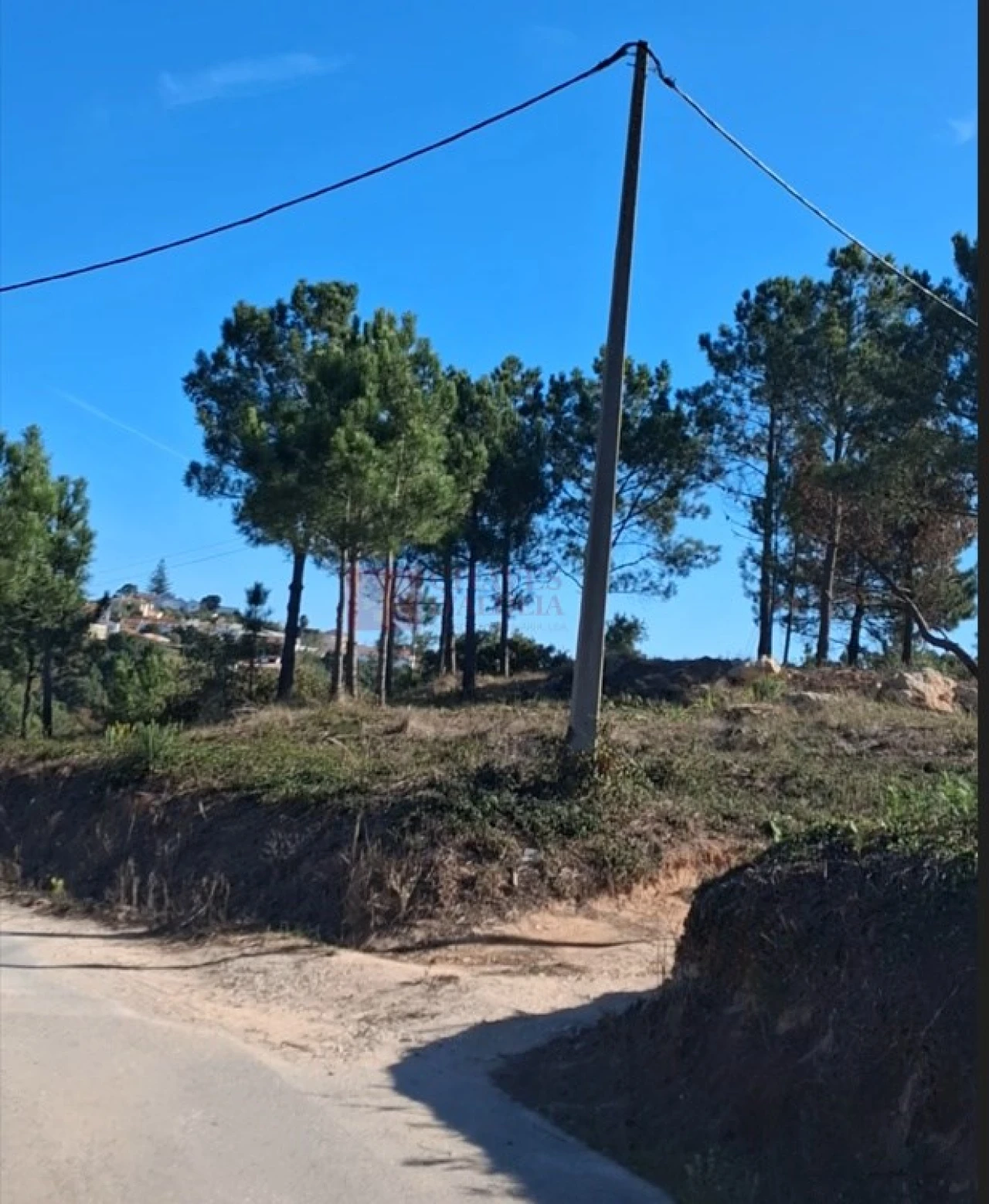 Terreno para Venda em Mafra Foto 3