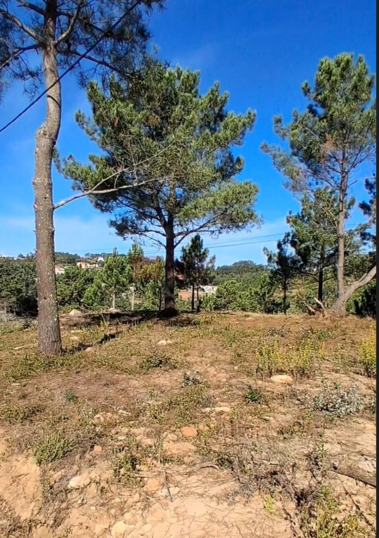 Terreno para Venda em Mafra Foto 4