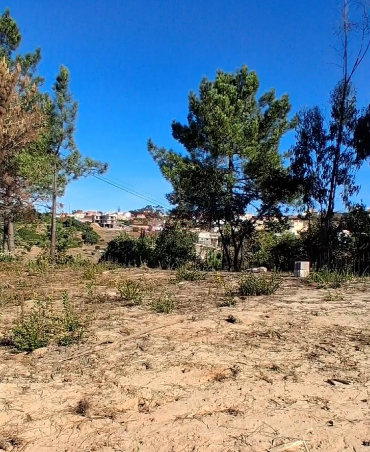 Terreno para Venda em Mafra Foto 5