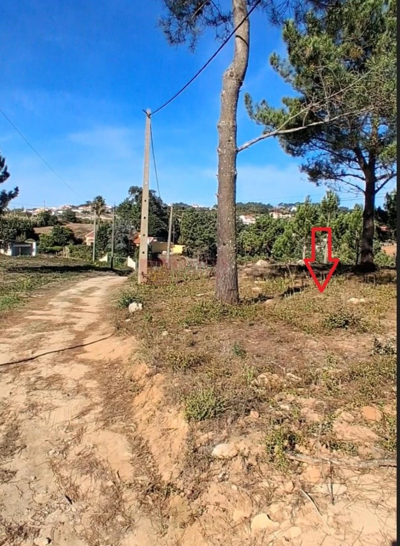 Terreno para Venda em Mafra Foto 7