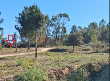 Terreno para Venda em Mafra