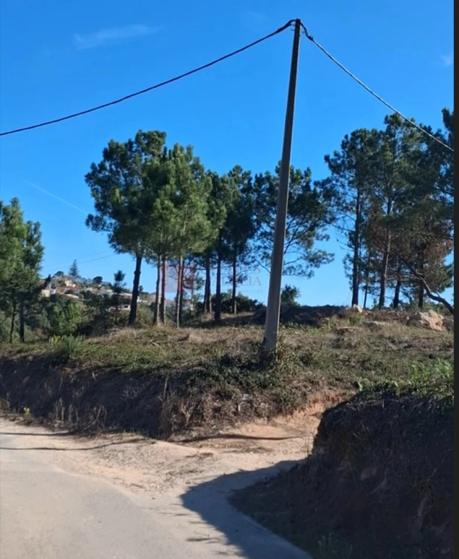 Terreno para Venda em Mafra Foto 3