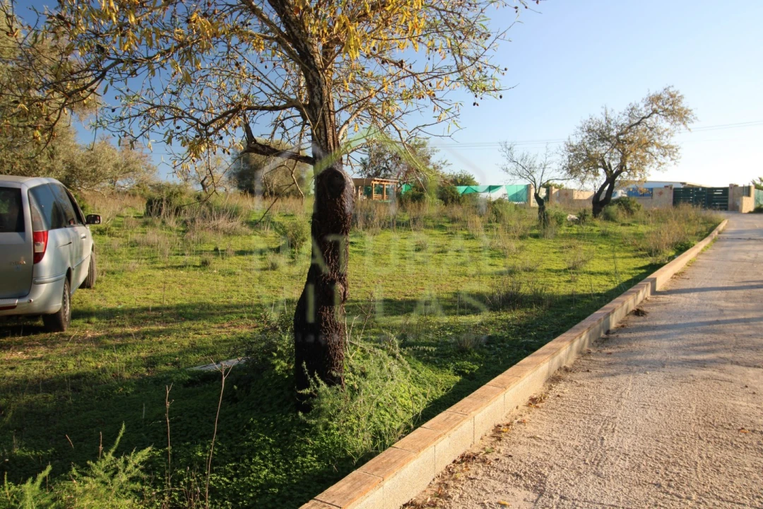 Terreno Agricola ou Rústico para Venda em Pechão Foto 2