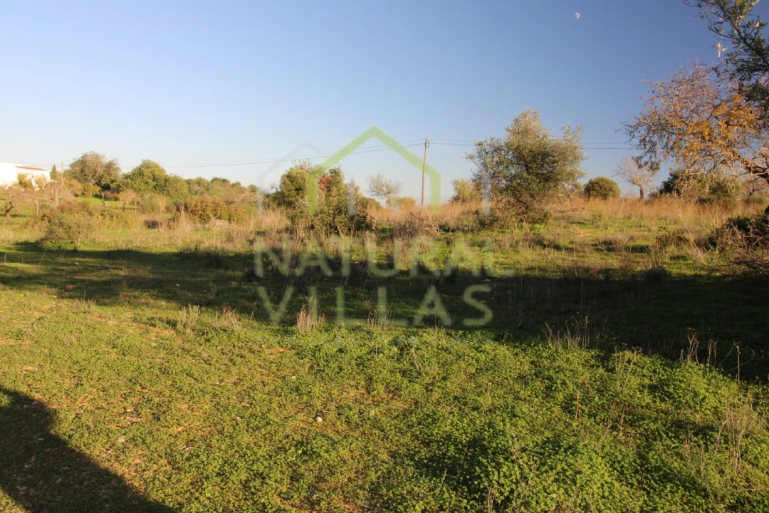 Terreno Agricola ou Rústico para Venda em Pechão Foto 8
