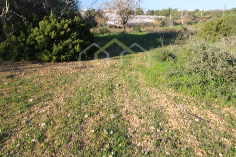 Terreno Agricola ou Rústico para Venda em Pechão Foto 3