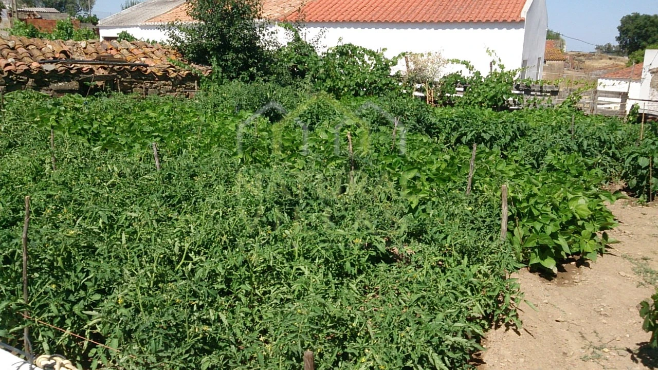 Quinta T3 para Venda em Ameixial Foto 7