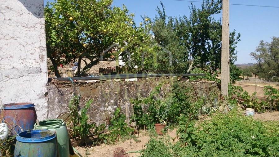 Quinta T3 para Venda em Ameixial Foto 8