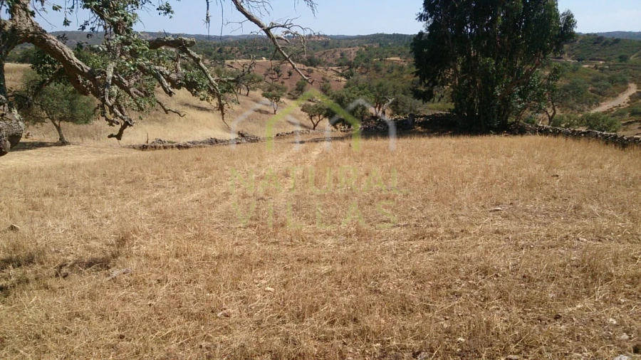 Quinta T3 para Venda em Ameixial Foto 5