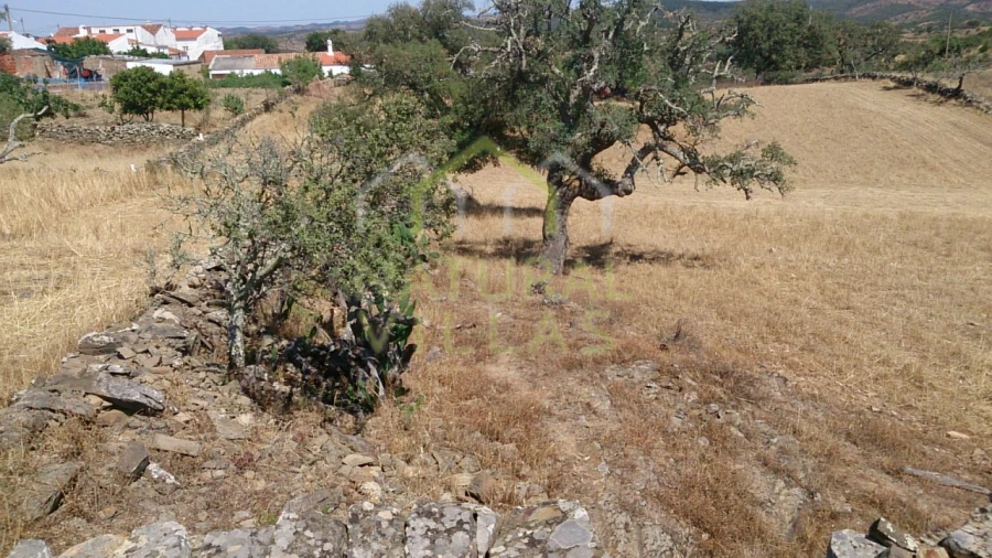 Quinta T3 para Venda em Ameixial Foto 9