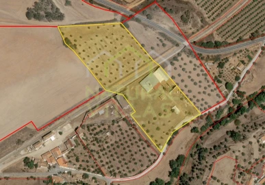 Negócio para Venda em Garvão e Santa Luzia