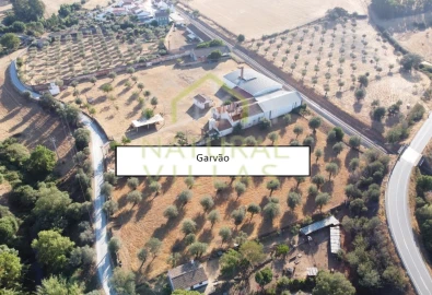 Negócio para Venda em Garvão e Santa Luzia