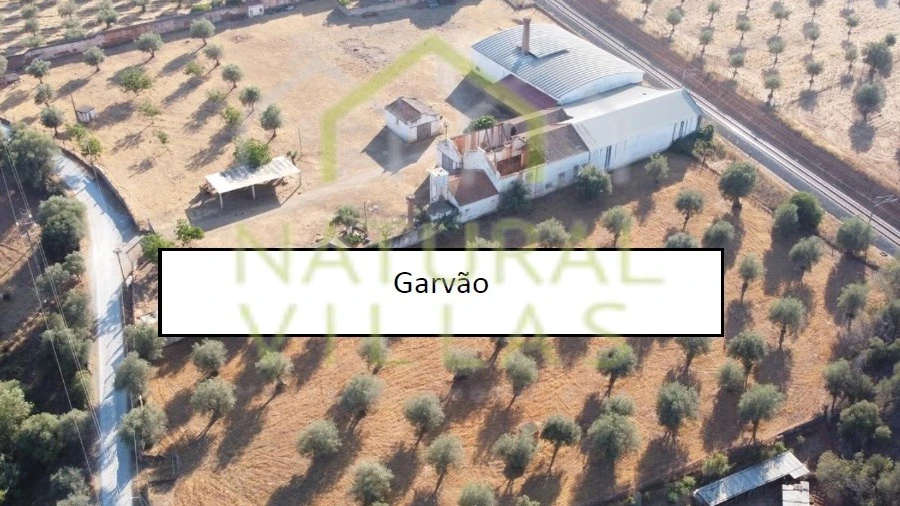 Negócio para Venda em Garvão e Santa Luzia