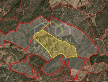 Terreno Agricola ou Rústico para Venda em São Martinho das Amoreiras