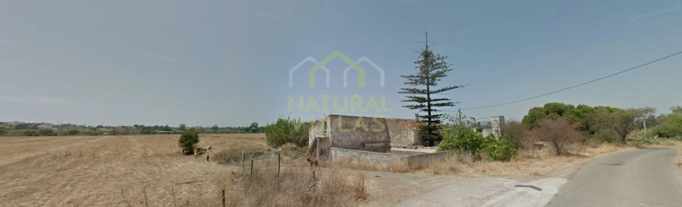 Terreno Misto para Venda em Faro (Sé e São Pedro) Foto 1