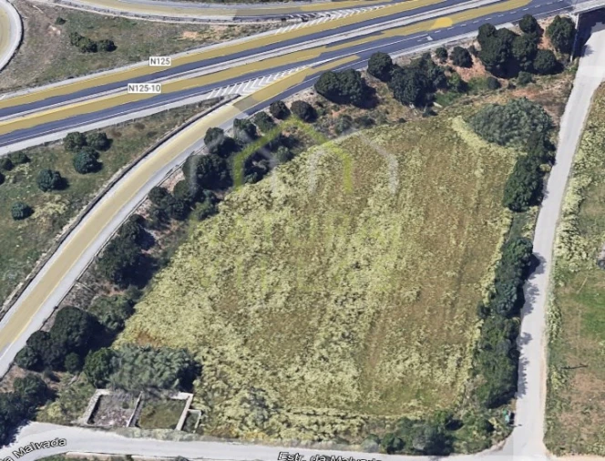 Terreno Misto para Venda em Faro (Sé e São Pedro) Foto 13