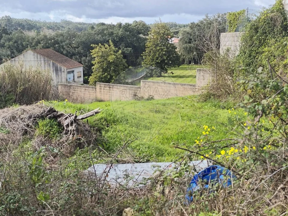 Moradia T3 para Venda em Arneiro das Milhariças Foto 26